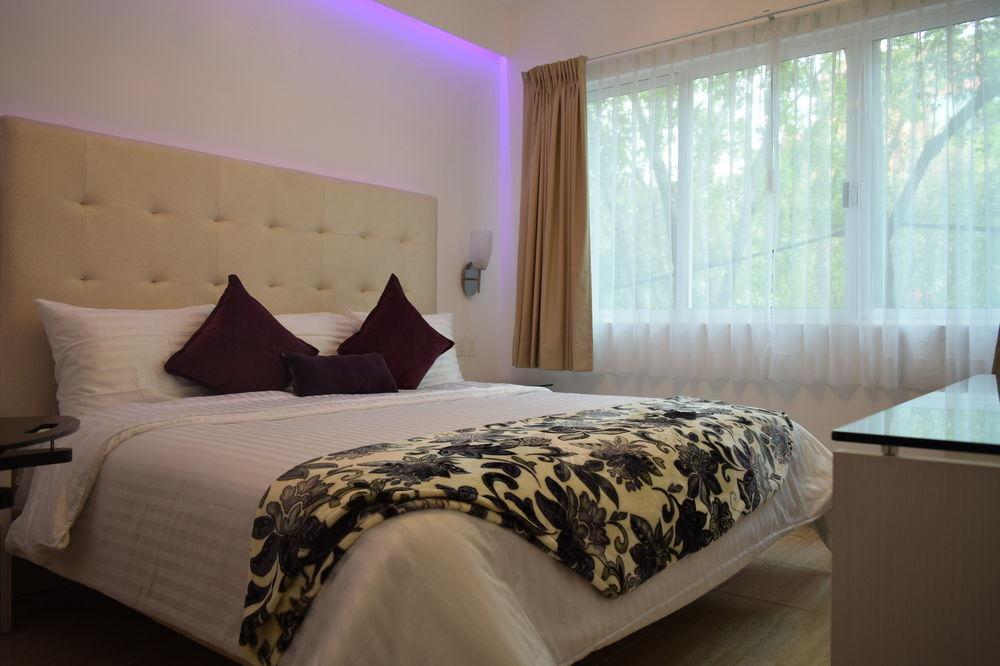 Hotel Condesa 185 Meksyk Zewnętrze zdjęcie